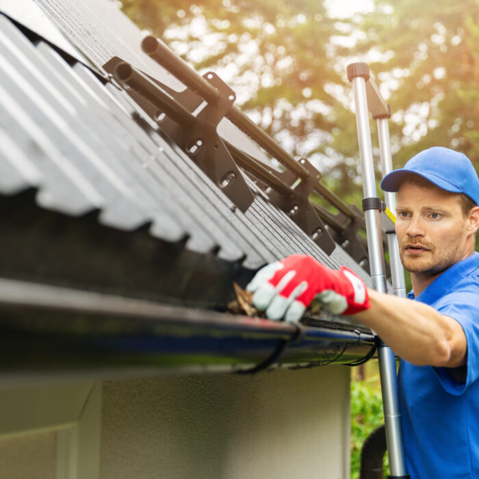 Gutter cleaning Chicago